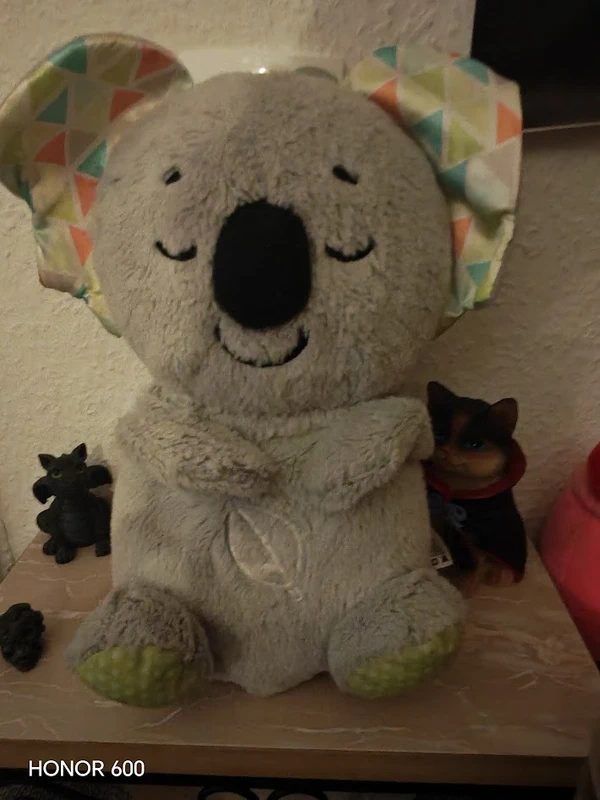 Schlummer Otter
