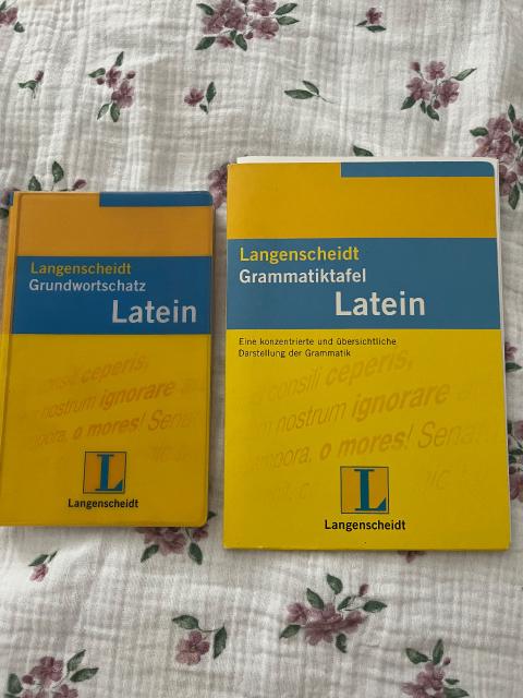 Langenscheidt Langenscheidt Latein Grundwortschatz & Grammatiktafel gebraucht