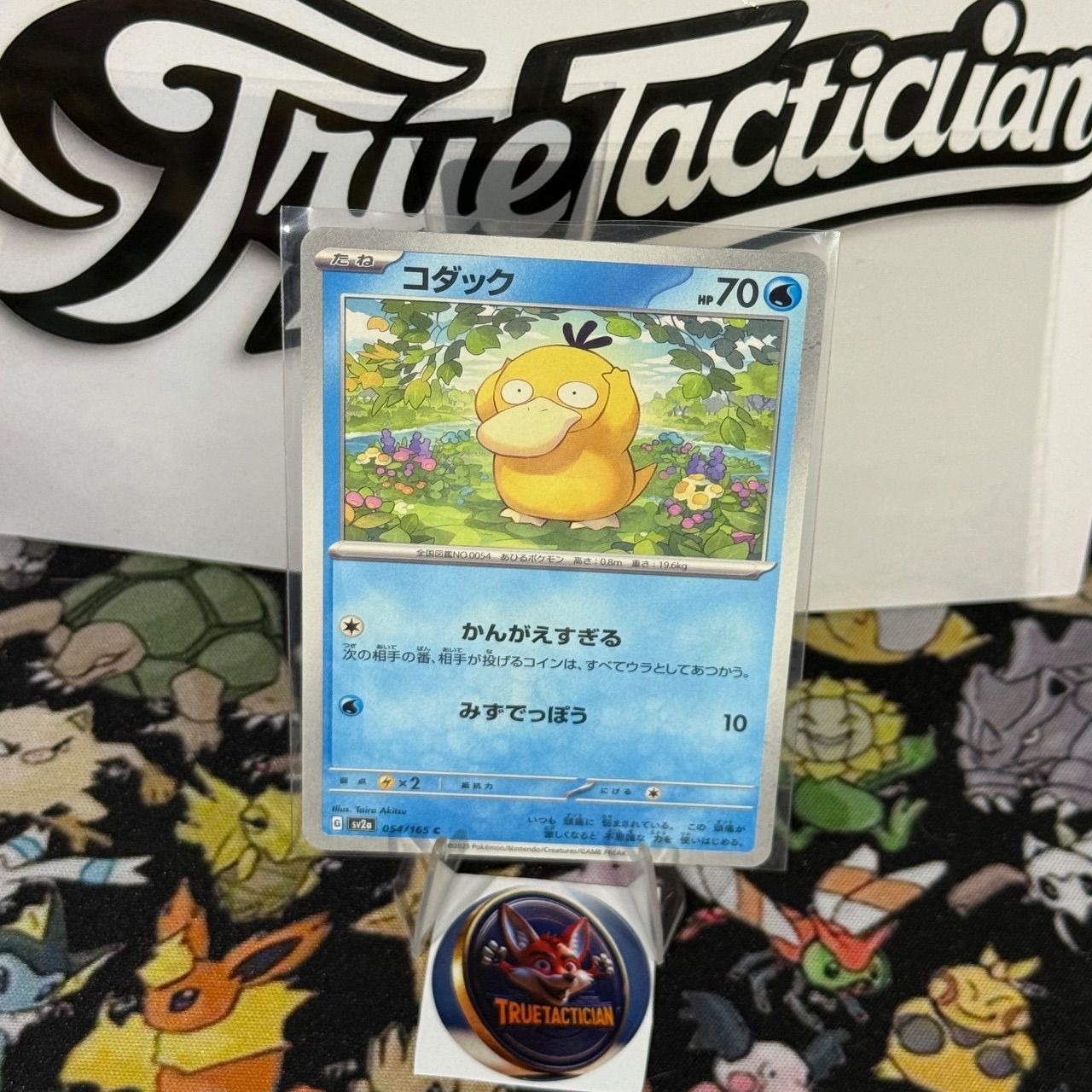 Pokemon Enton 