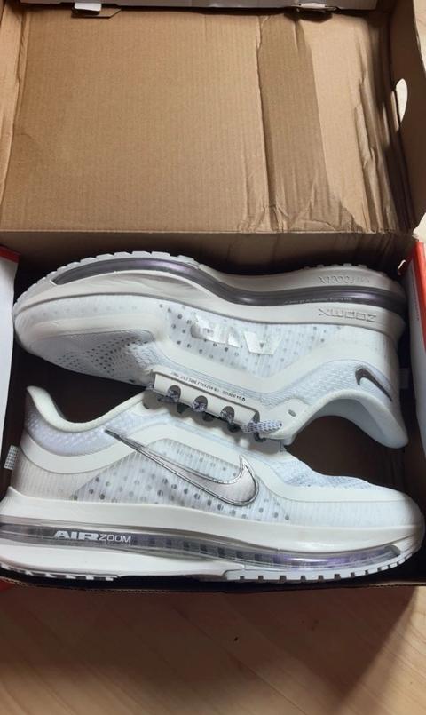 Nike Nike air Pegasus Size 42