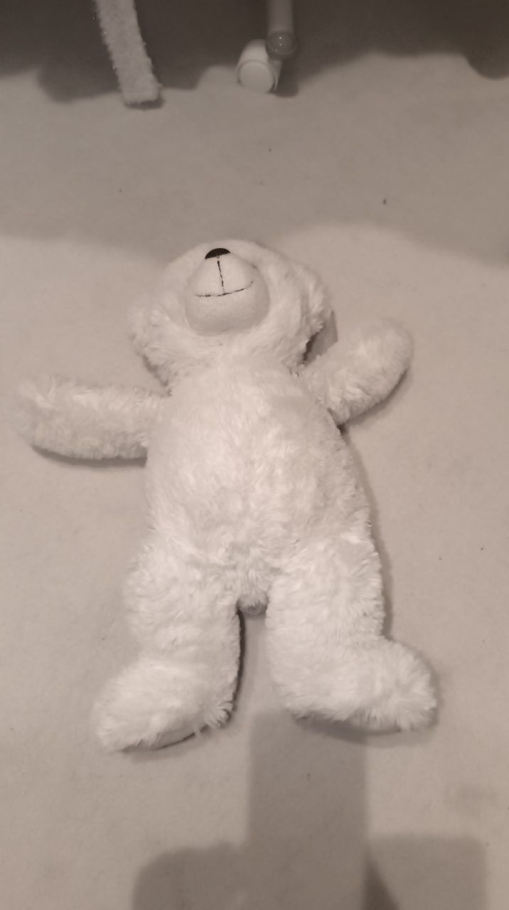 Teddybär 