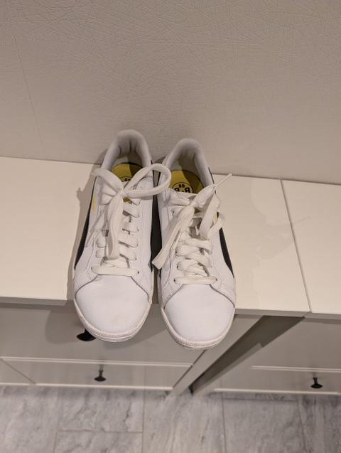 Puma Puma BVB Sneaker Gr.38,5 Size 38