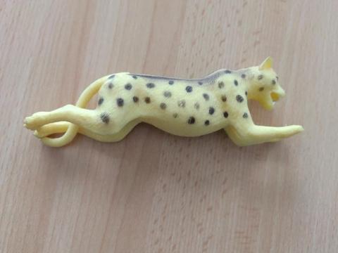 Ohne Marke Gepard 🐯