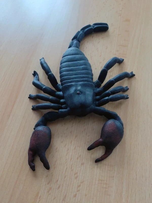 Ohne Marke Skorpion 🦂