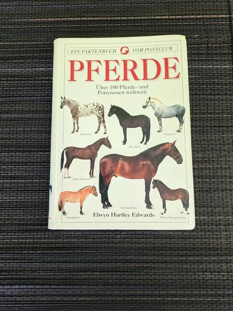 Pony Club Pferde