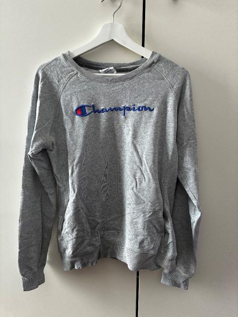 Champion Champion Pulli, Sweatshirt, grau, Herbst, L, gemütlich Size L, 40