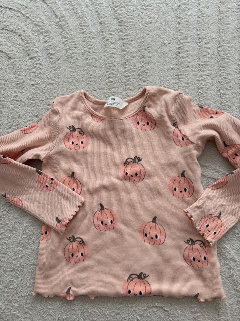H&m Pullover Kürbis Size 110