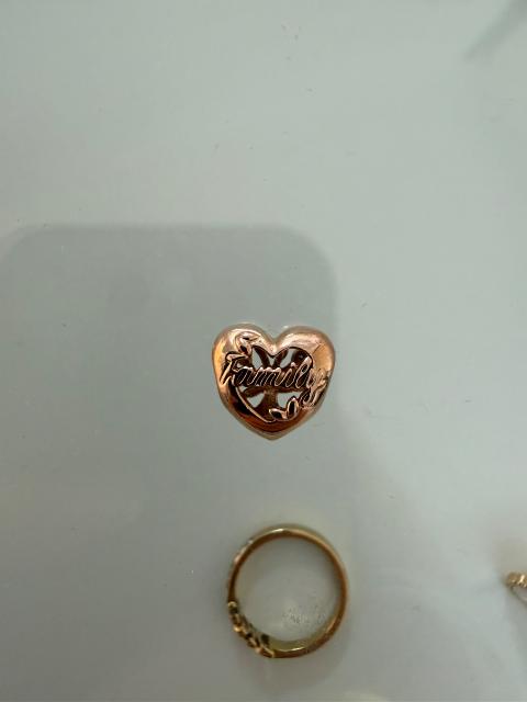 Pandora Pandora Charm (Family & Baum) - Roségold