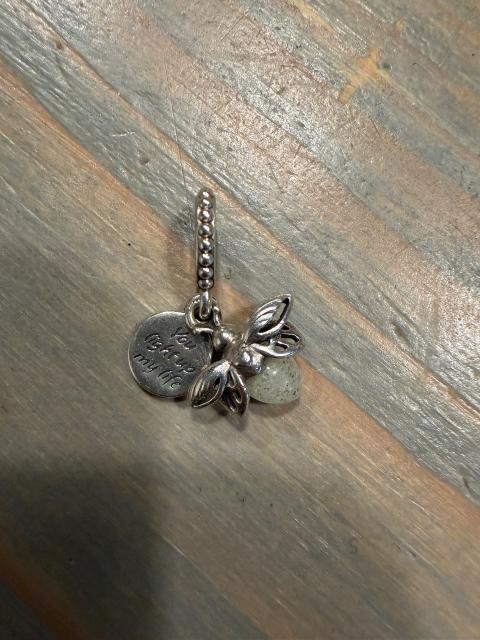 Pandora Pandora Glühwürmchen Charm Silber