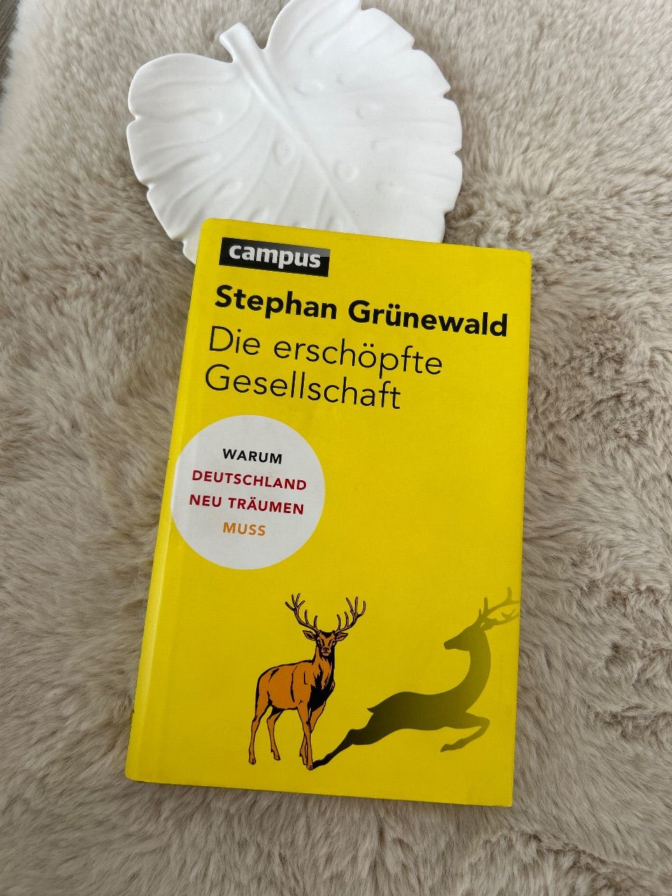 Die erschöpfte Gesellschaft Grünewald Sachbuch Psychologie Mindset