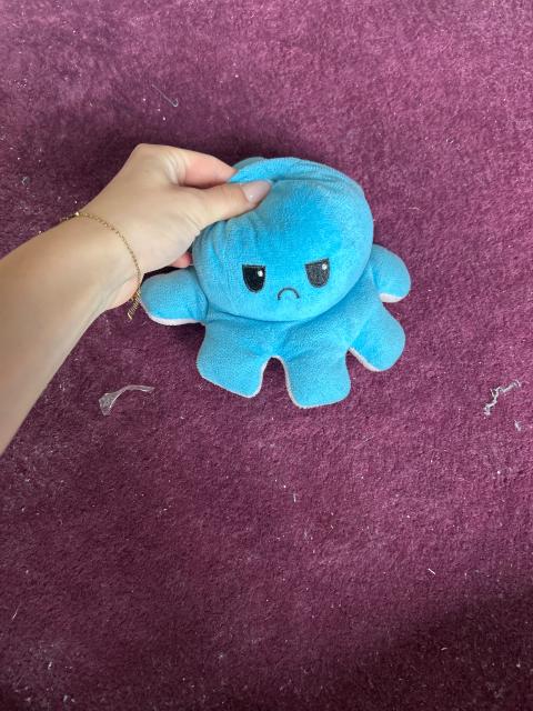 ohne Kleiner Oktopus