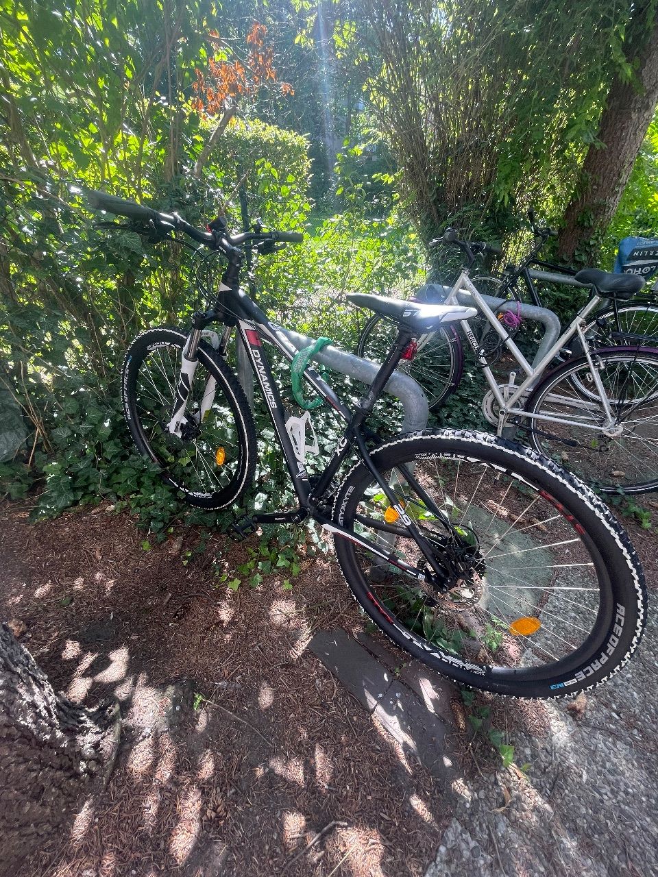 Dynamics Dynamics Gravity 29er Hardtail-Mountainbike