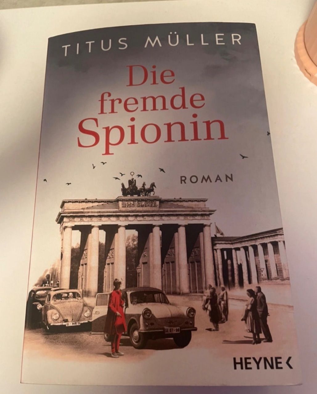 Die fremde Spionin