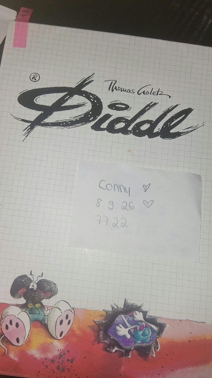Diddl Diddl a5 Blatt nummer 13