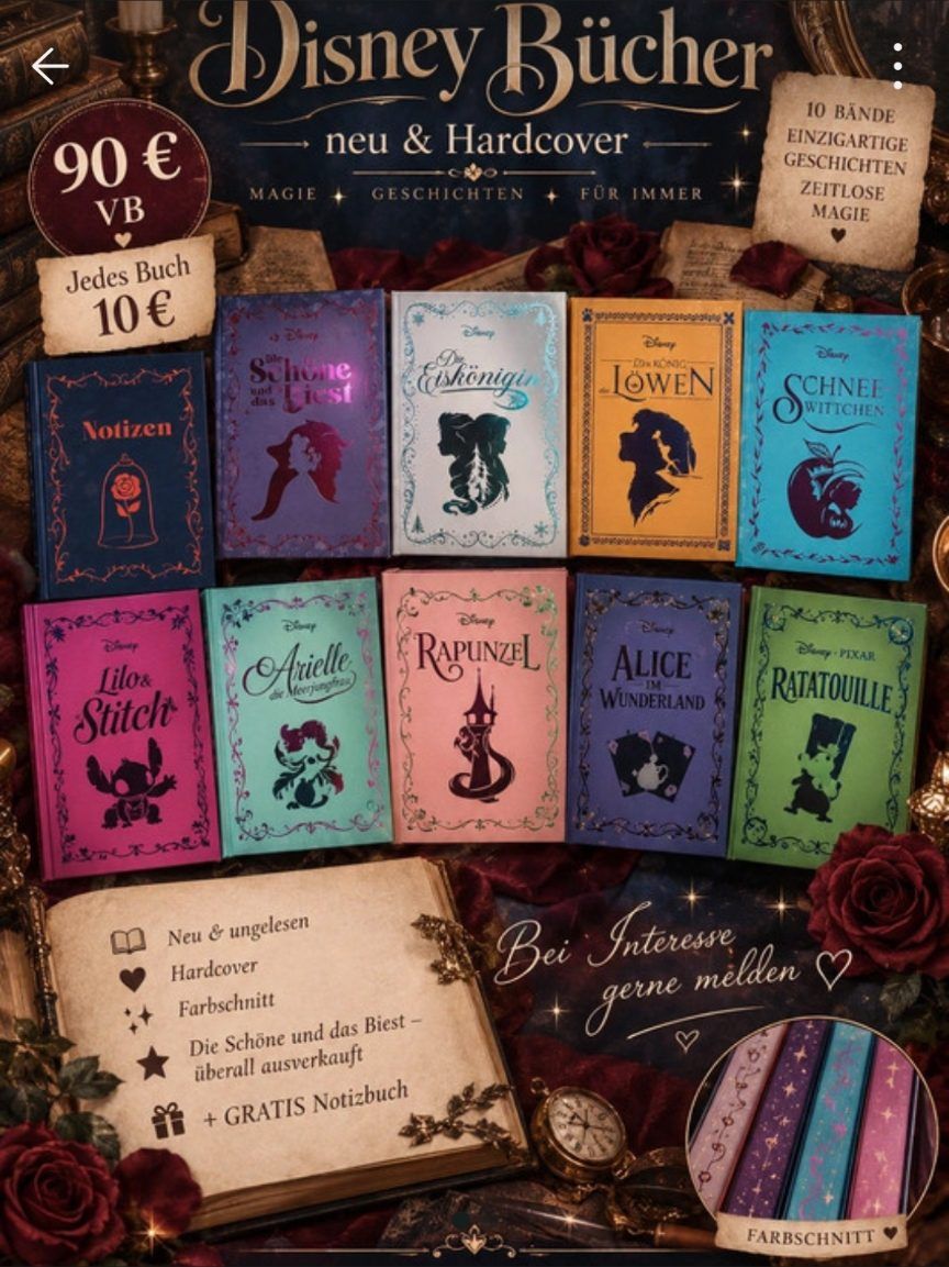 Hachette Disney Hachette Büchersammlung -10 wunderschöne Hardcover-Bände gratis Notizbuch