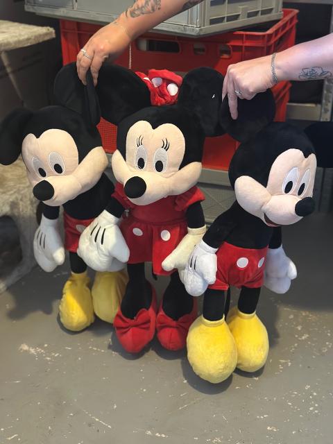 Disney Wunderschöne Disney Mickey & Minnie Maus Plüschfiguren / Kuscheltiere