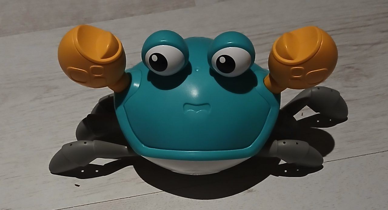 Krabbelkrabbe