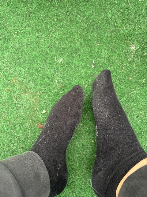 Ohne Marke Schwarze Socken Size S