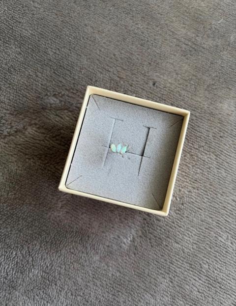 Ohrpiercing