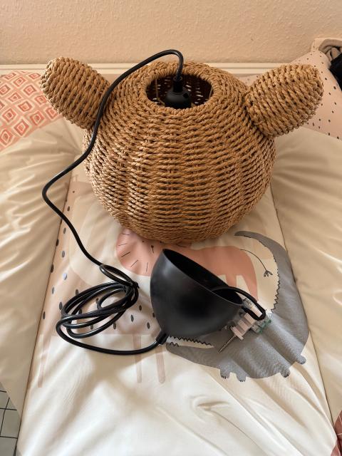 Teddy Lampe