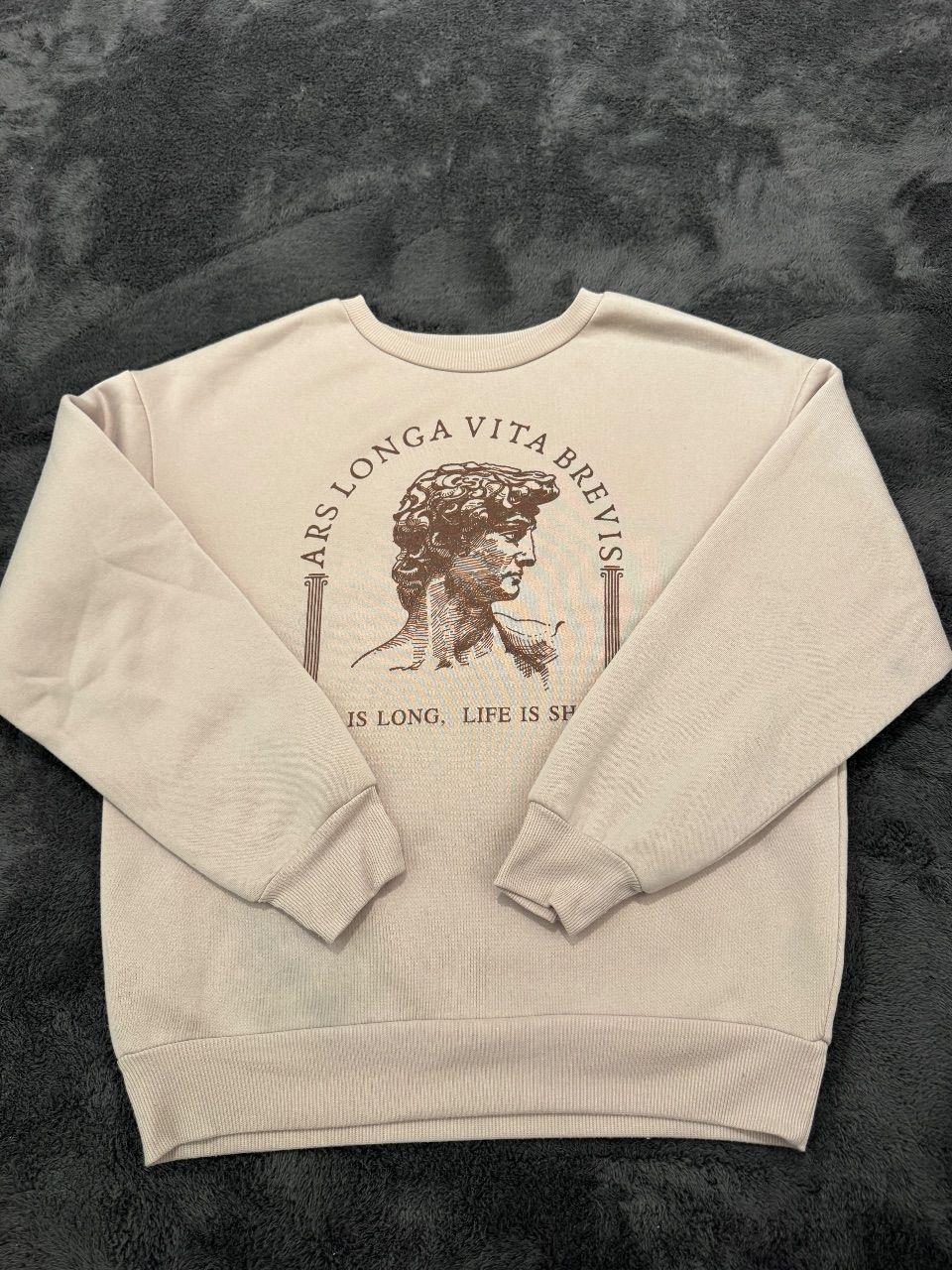 Ohne Marke Sweatshirt XS beige braun "Ars Longa Vita Brevis" Print Kunst Grafik Size XS