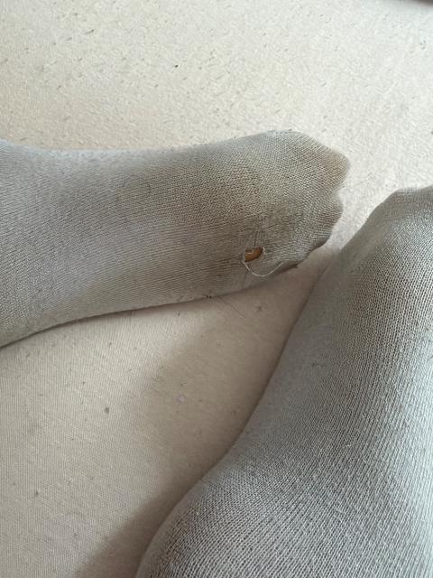 SHEIN Weise Socken