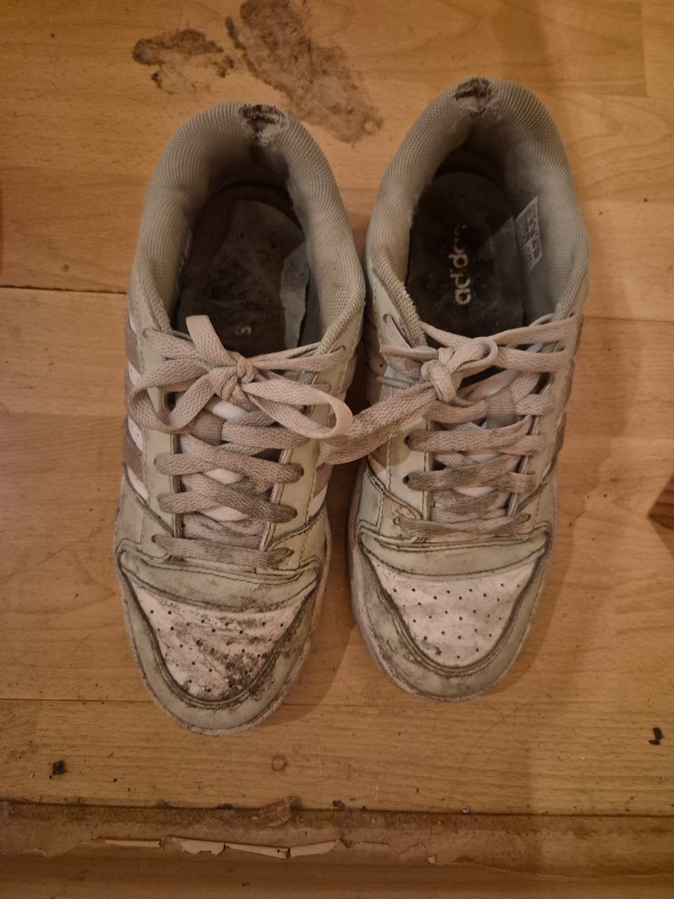 Adidas Gebrauchte Schuhe Sneakers  Size 38