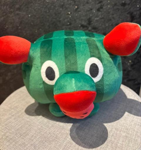 Melonen Schweinchen sucht ein Zuhause