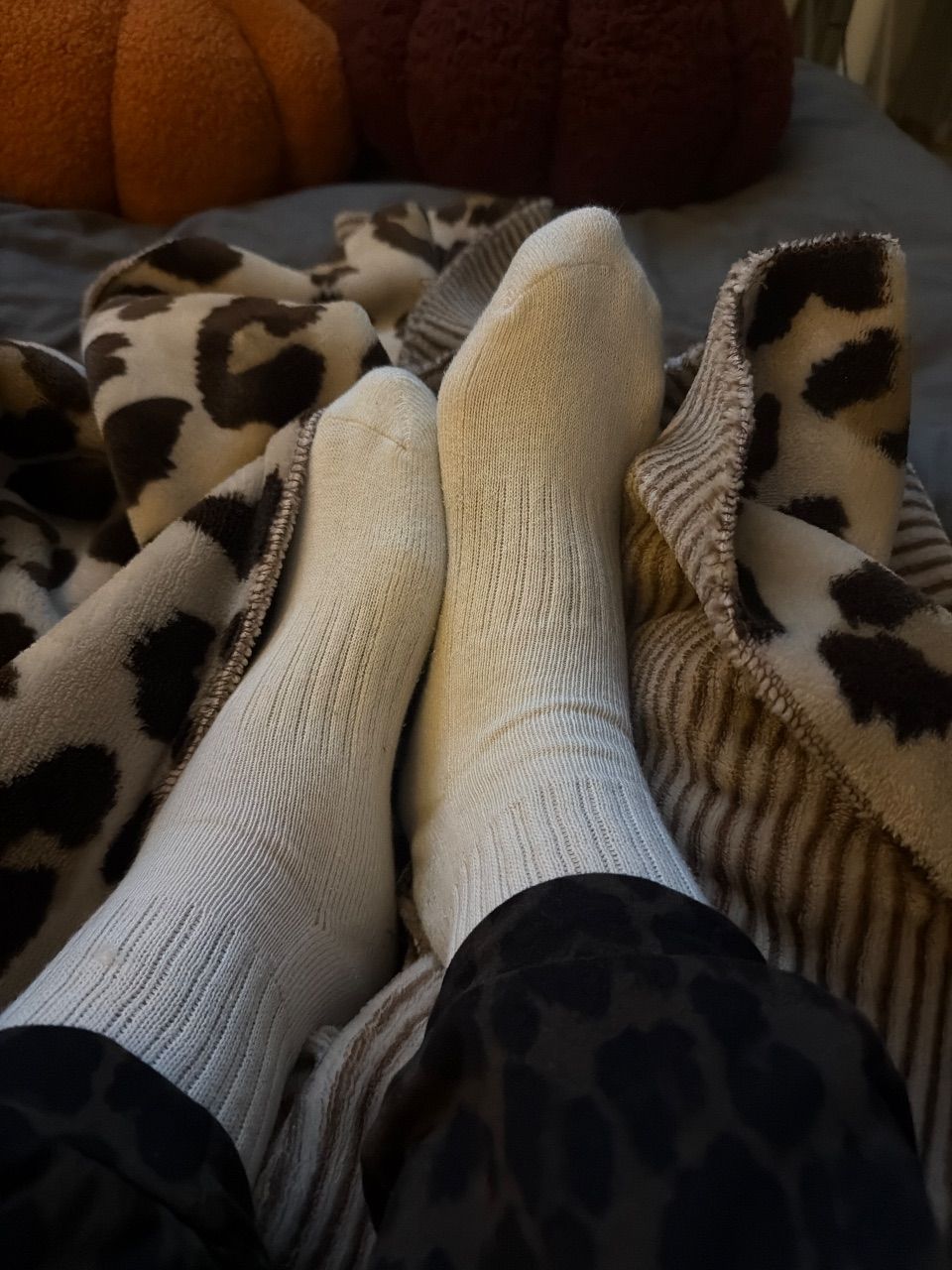 getragene socken