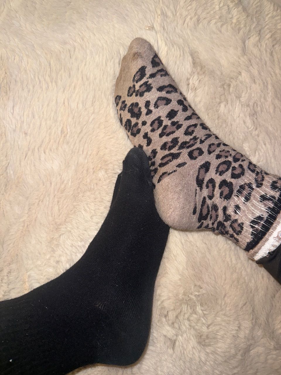 Hotte leo Söckchen  Size 37