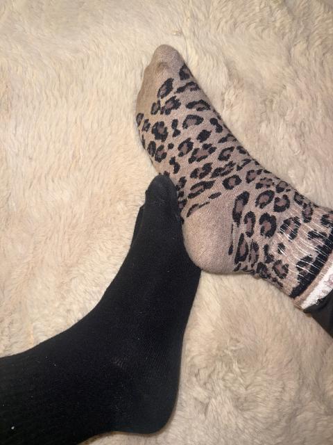 Hotte leo Söckchen Size 37