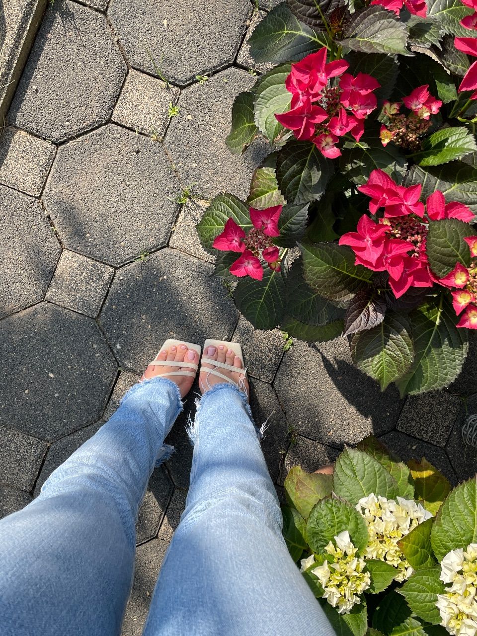 Hohe Schuhe 