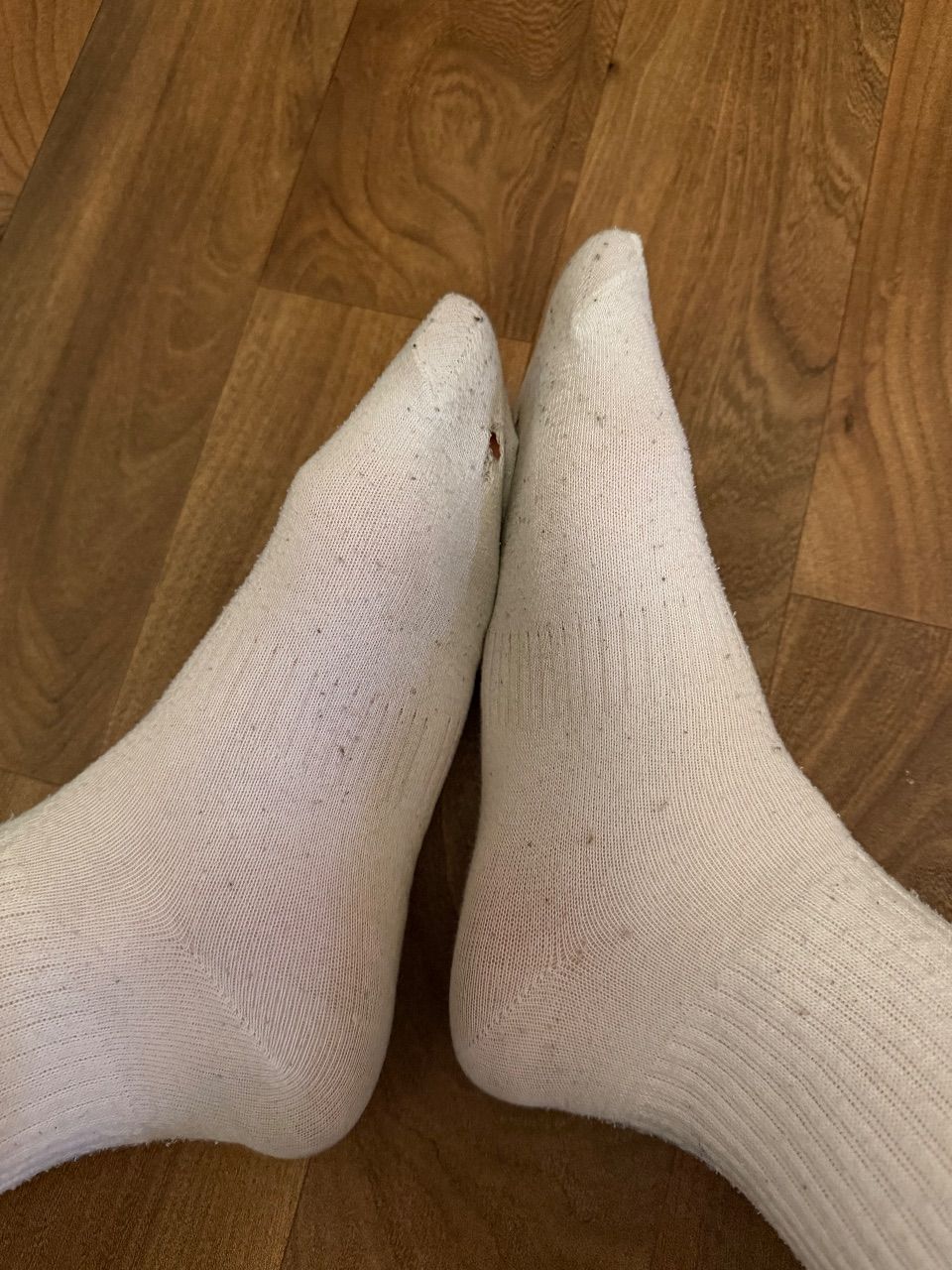 Getragene Socken  Size S