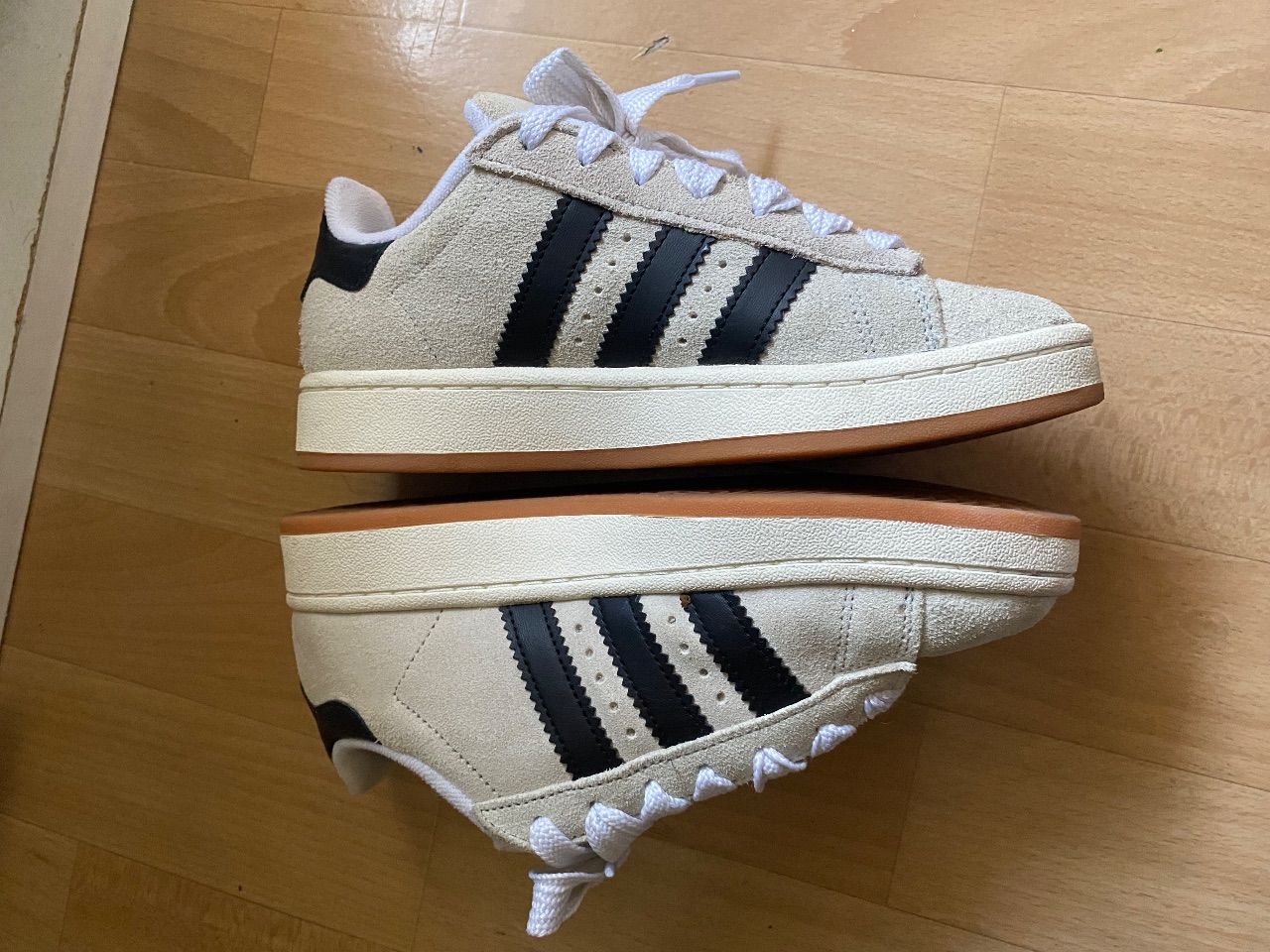 Campus  Size 36