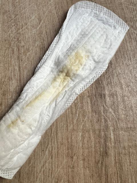 getragene Slipeinlage