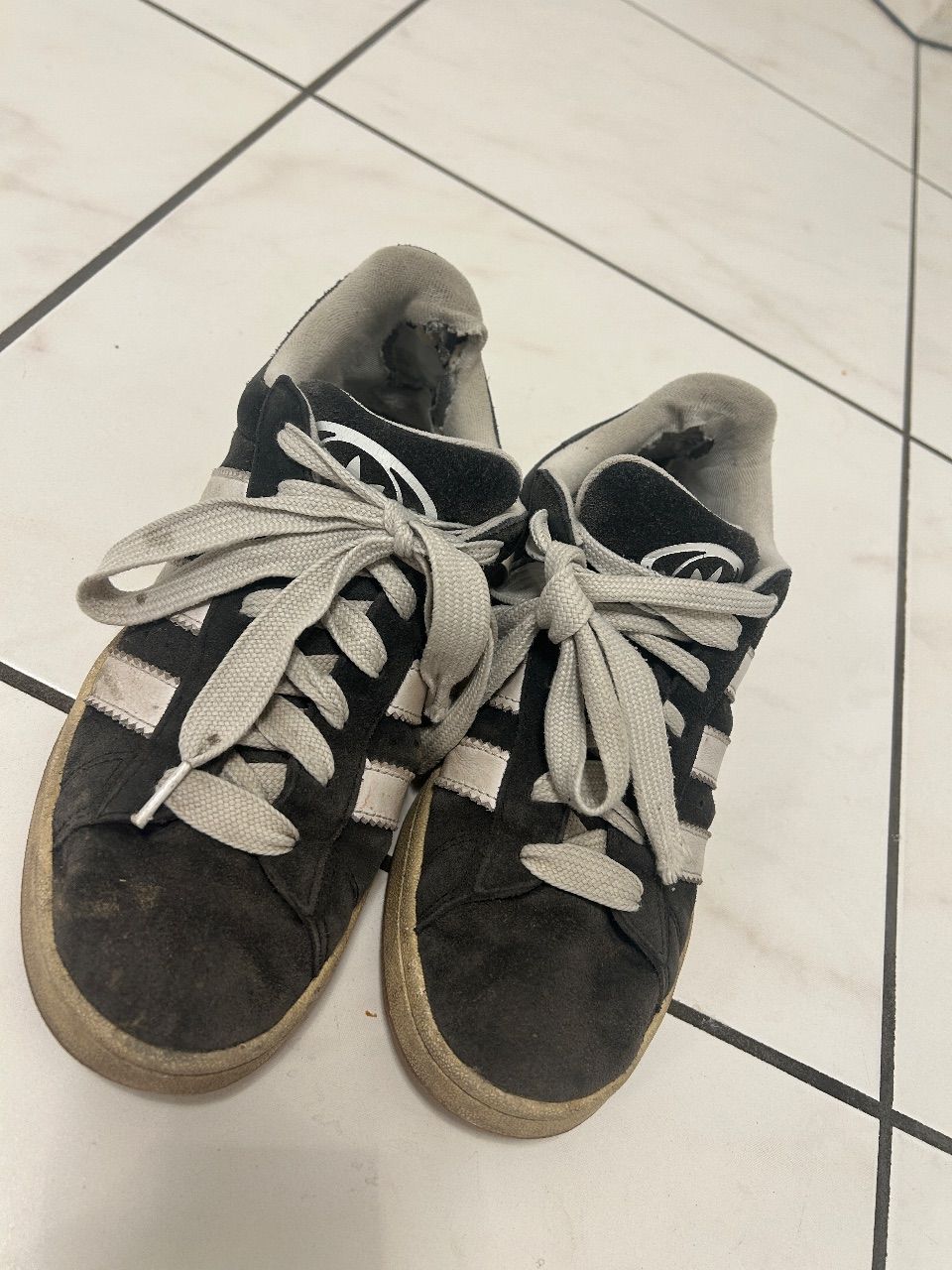 Adidas Campus  Gut und Gerne getragene Schuhe Size 40