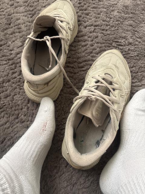 Adidas ozweego gern und täglich getragen