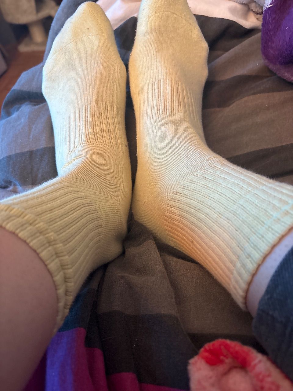 Getragene Socken Size M