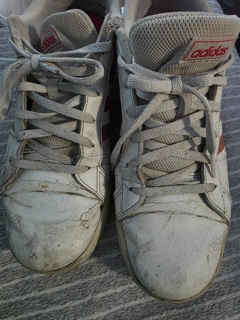 Adidas Getragene Adidas Schuhe Size 40
