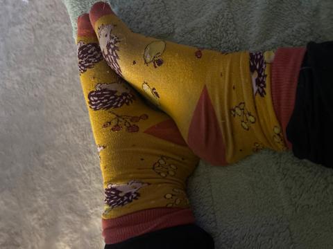 Bunte Socken Size 40