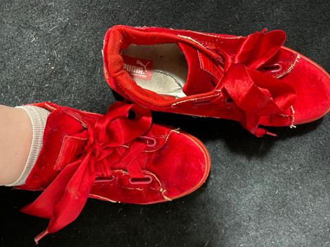 Puma Getragene Puma Schuhe Size 40