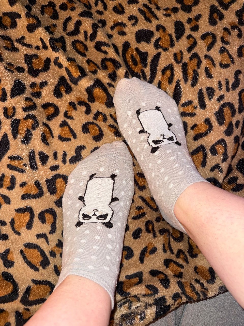 Panda Socken  Size 37