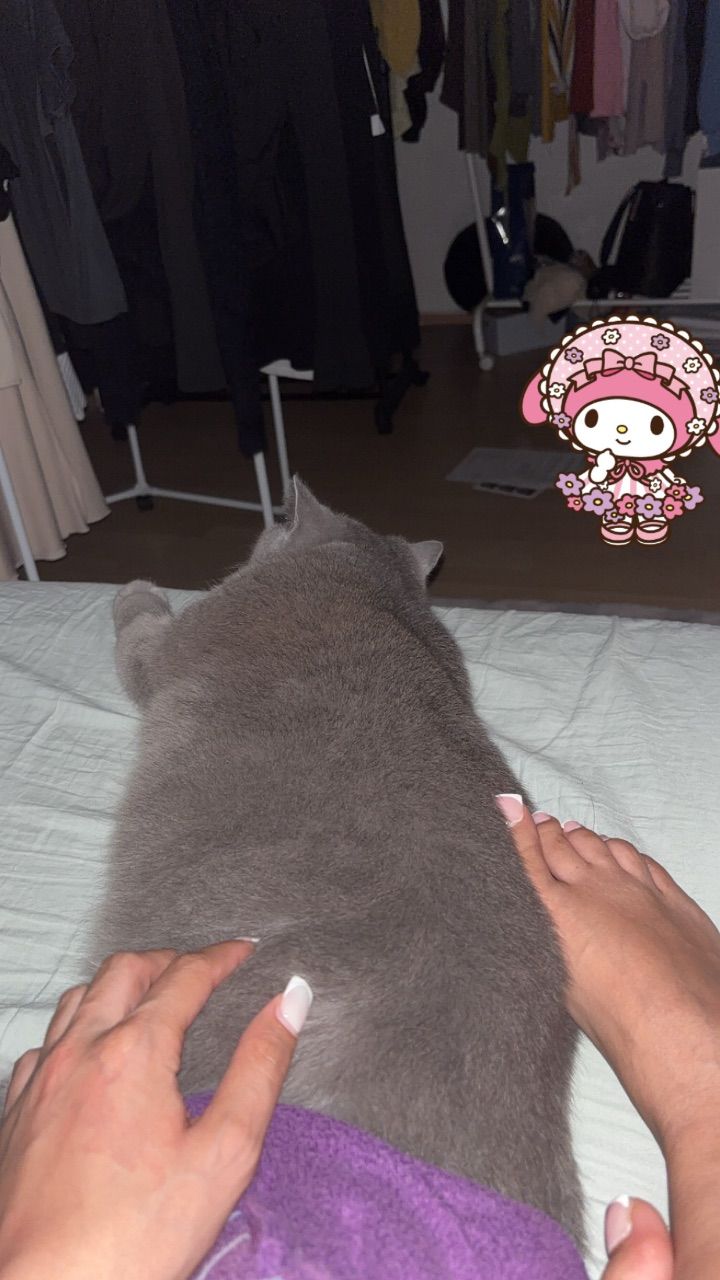 Füße und Socken 