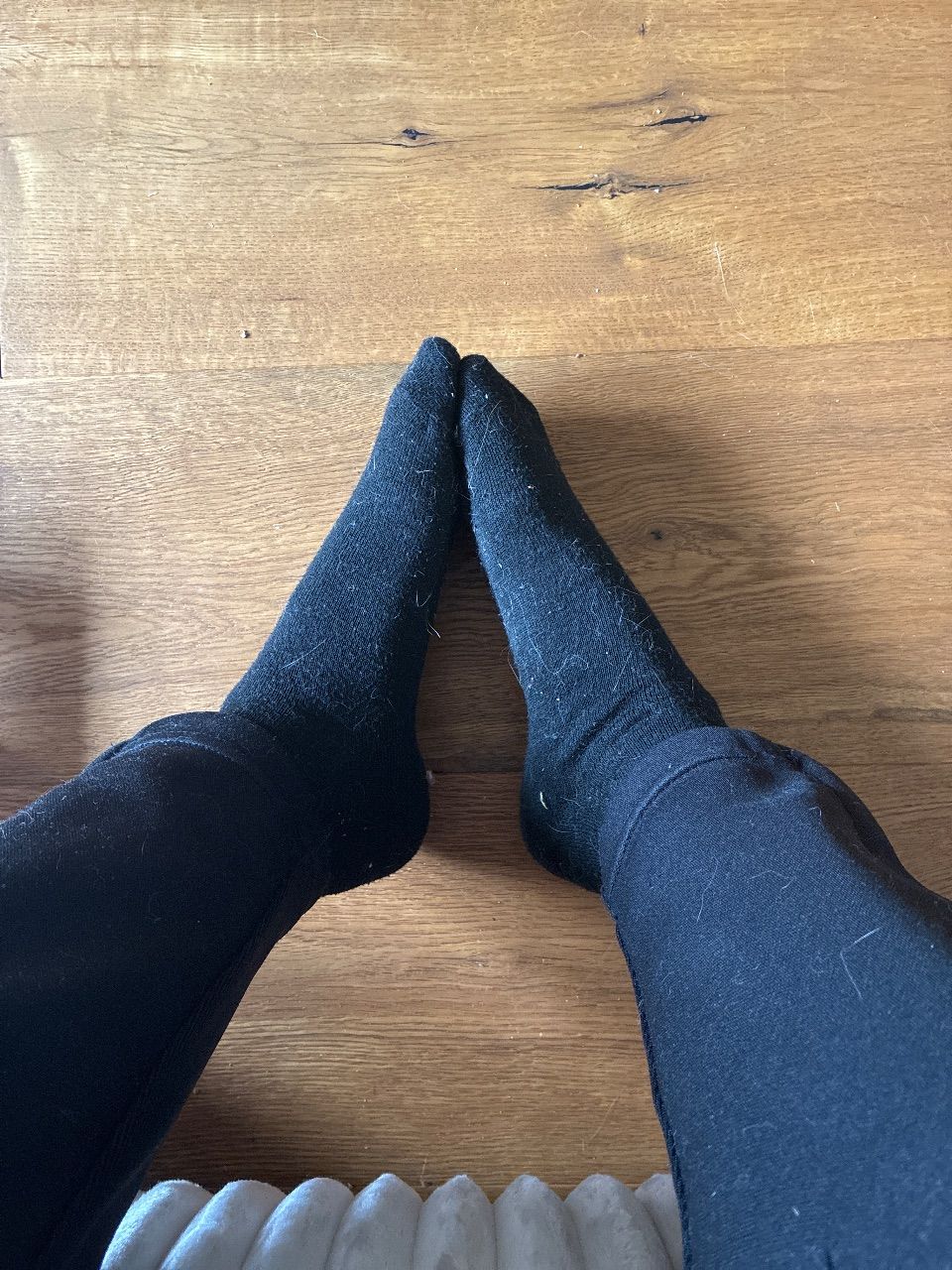 Schwarze Socken von sport mit Katzen haaren Size 37