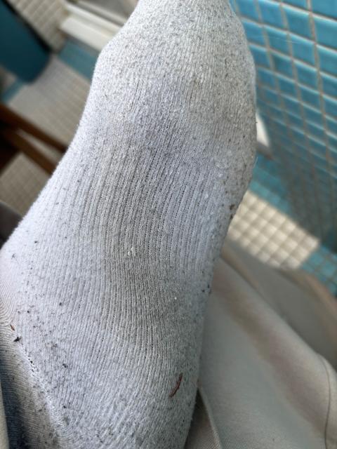 Socken