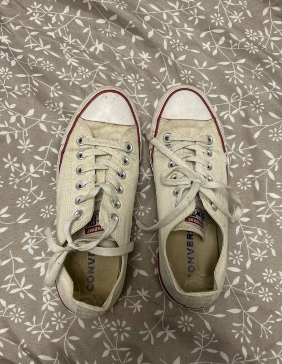 Converse Chucks