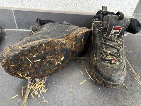 Stallschuhe