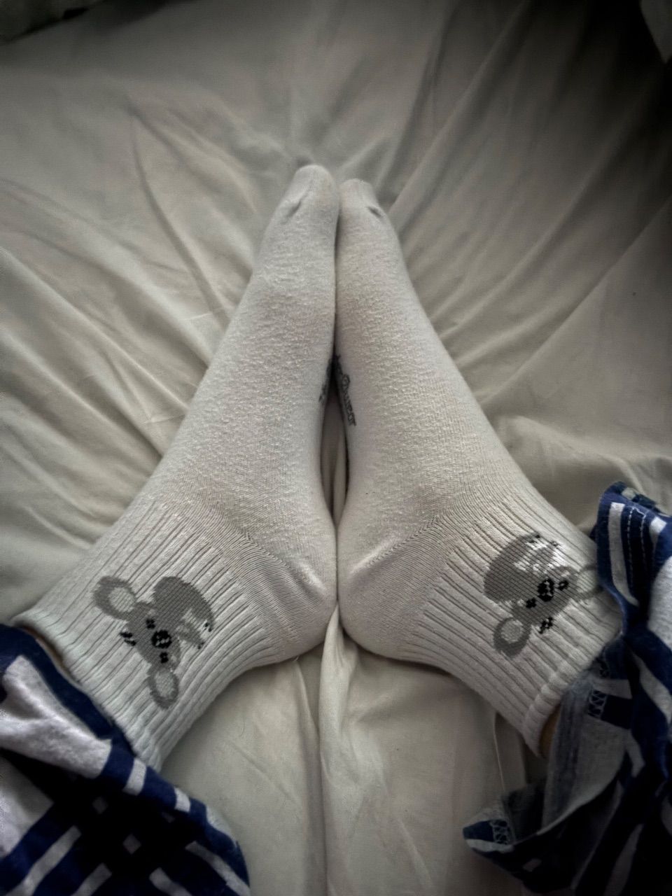 Koala Socken 