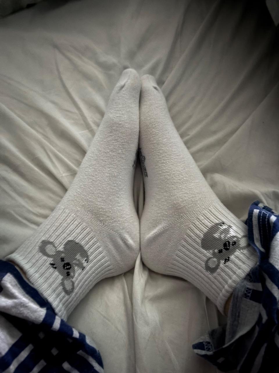 Koala Socken