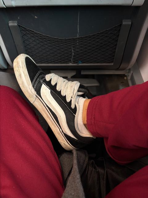 damen vans Size 38